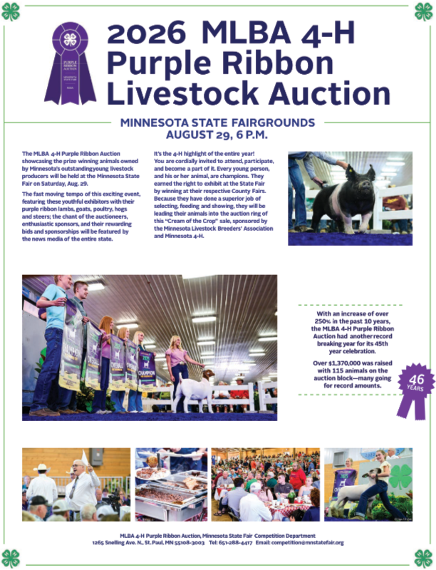 2026 4H Auction Brochure